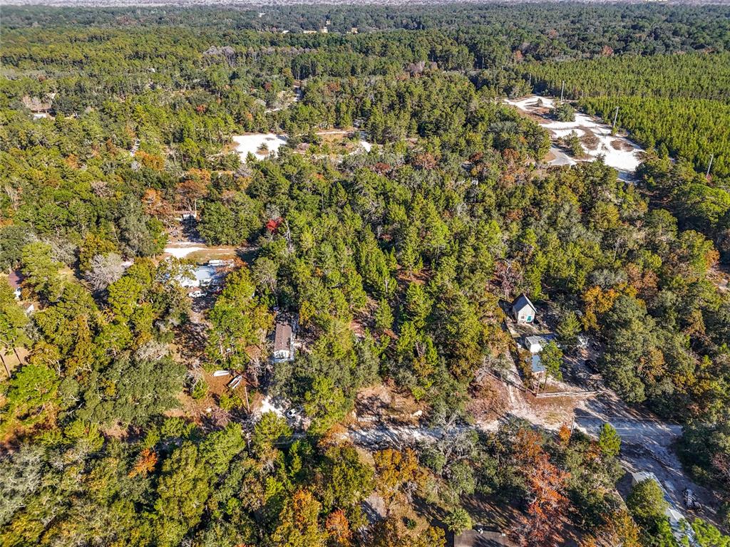An aerial view shows several houses nestled within a dense, wooded forest area — 109 LUCAS STREET, SATSUMA, FL
