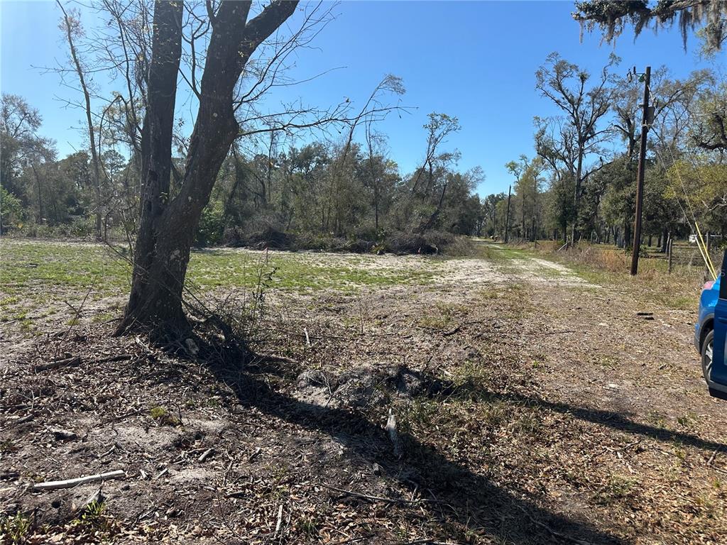 A partially cleared, sandy lot features scattered trees and a utility pole under a clear sky — NE 688TH AVENUE, CROSS CITY, FL