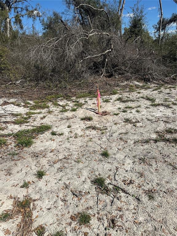 A wooden survey stake with pink flagging tape stands in a sandy, cleared lot — NE 688TH AVENUE, CROSS CITY, FL