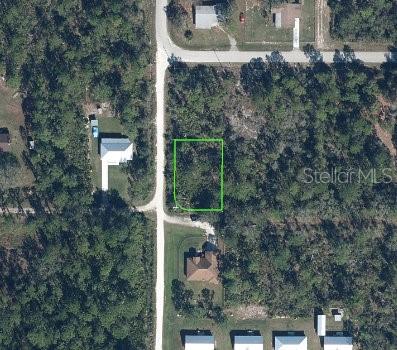 This aerial view shows a vacant, wooded residential lot outlined in green along a road — 1224 PASSION FLOWER STREET, SEBRING, FL