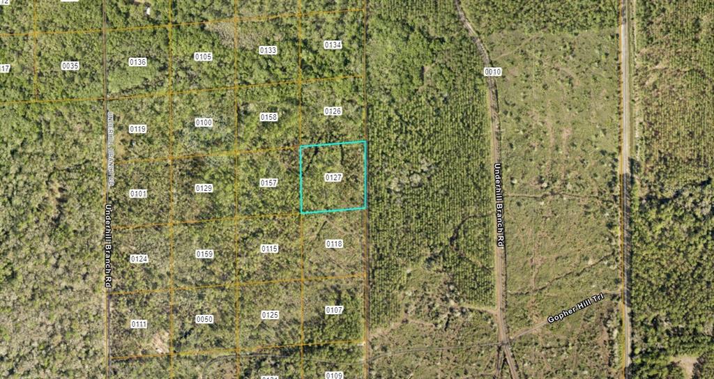 An aerial map view shows a highlighted rectangular land parcel surrounded by wooded lots — LAKE HARNEY ROAD, OSTEEN, FL