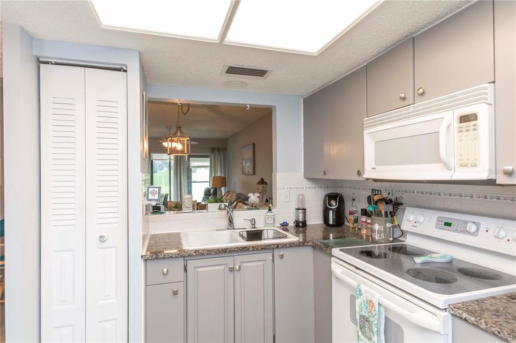 A kitchen features gray cabinets, white appliances, a double sink, and a pass-through to the living area — 11140 CARRIAGE HILL DRIVE UNIT 4, PORT RICHEY, FL
