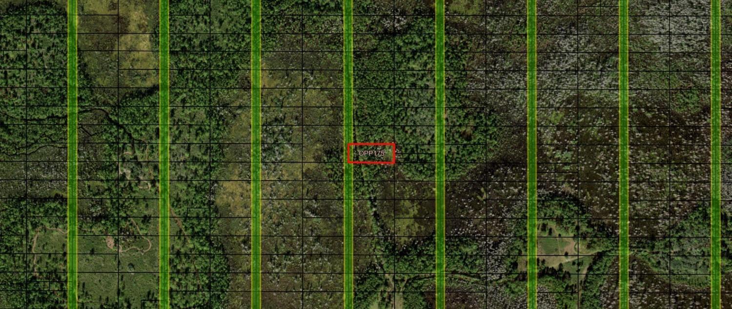 This is a satellite map view showing a rectangular plot labeled OPP175 amidst forested land — 0 Old Grade Road, FL 33868, FL