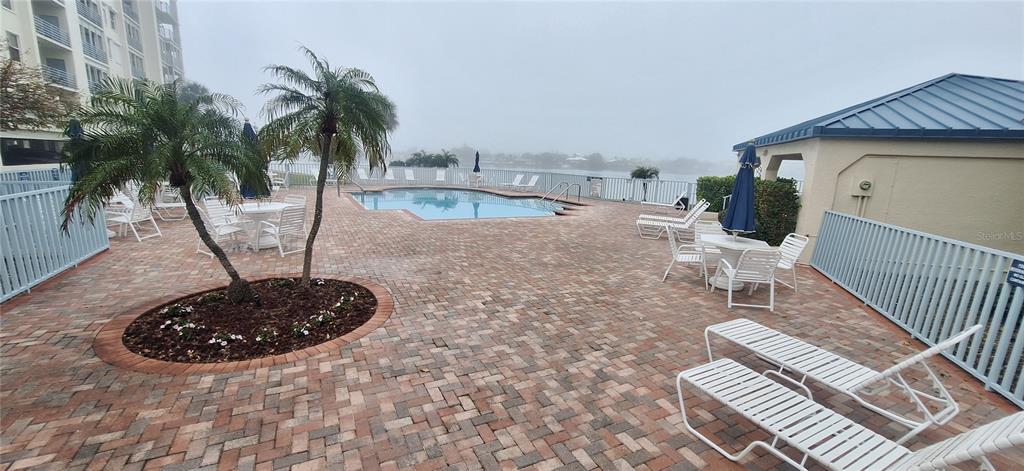 A paved pool deck features lounge chairs, tables, palm trees, and a view of water — 7907 SAILBOAT KEY BOULEVARD S UNIT 205, SOUTH PASADENA, FL
