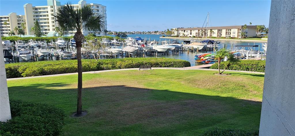 A view of a grassy lawn, a palm tree, and a boat marina — 7907 SAILBOAT KEY BOULEVARD S UNIT 205, SOUTH PASADENA, FL
