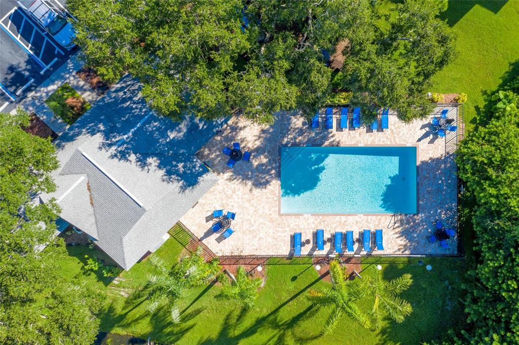 An aerial view shows a rectangular swimming pool with lounge chairs on a paved deck — 13200 SW WILCOX ROAD UNIT 703, LARGO, FL