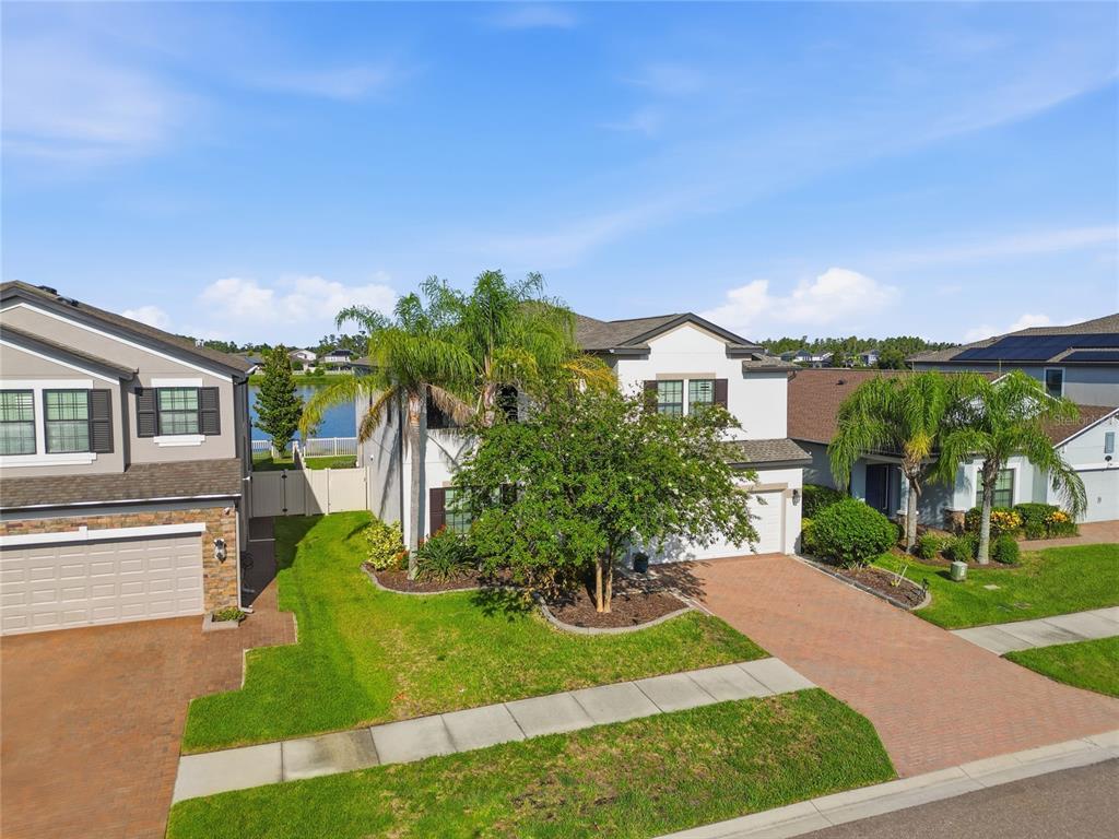 A two-story suburban house with a brick driveway, a palm tree, and a front lawn — 1806 NATURE VIEW DRIVE, LUTZ, FL