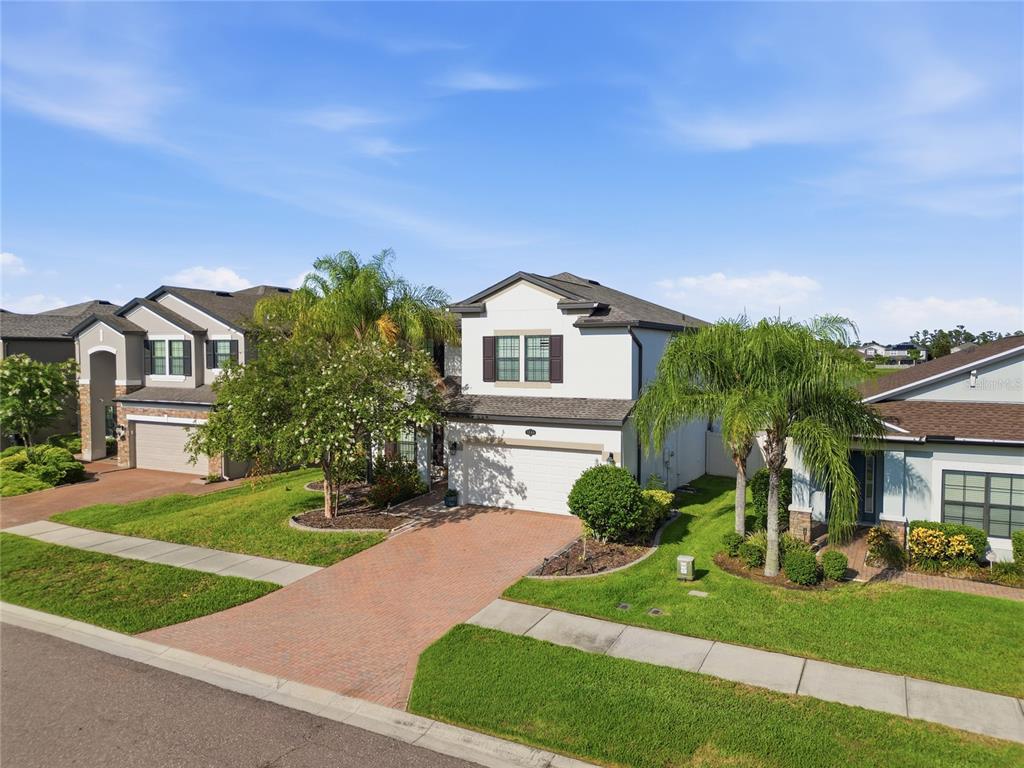 A two-story suburban house with a brick driveway, white stucco exterior, and palm trees — 1806 NATURE VIEW DRIVE, LUTZ, FL