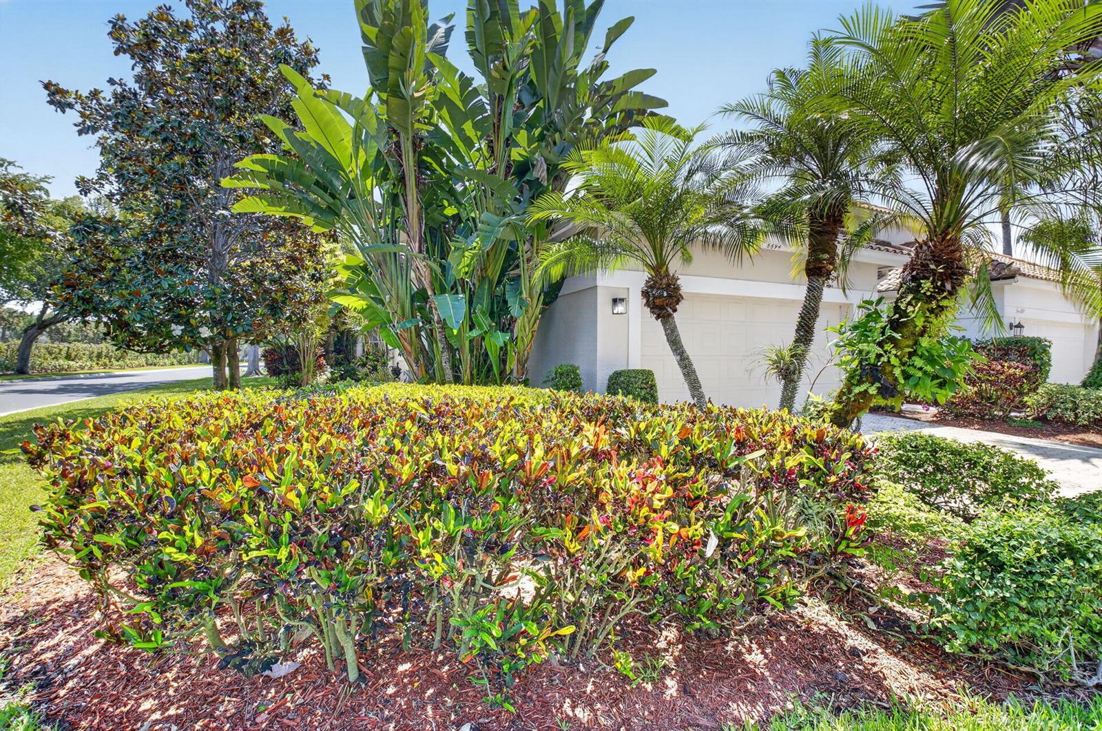 A residential house exterior features a manicured hedge, palm trees, and a two-car garage — 6694 NW 26th Way, Boca Raton FL 33496, BOCA RATON, FL