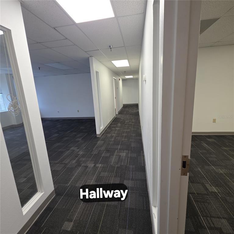 A hallway with dark patterned carpet leads between office spaces with white walls and ceilings — 29399 US HIGHWAY 19 N, CLEARWATER, FL