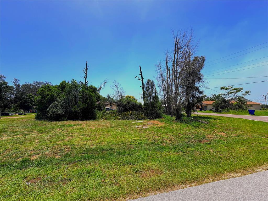 A grassy, vacant lot features several tall, bare trees and dense shrubs under a blue sky — 925 GRAND AVENUE, SEBRING, FL