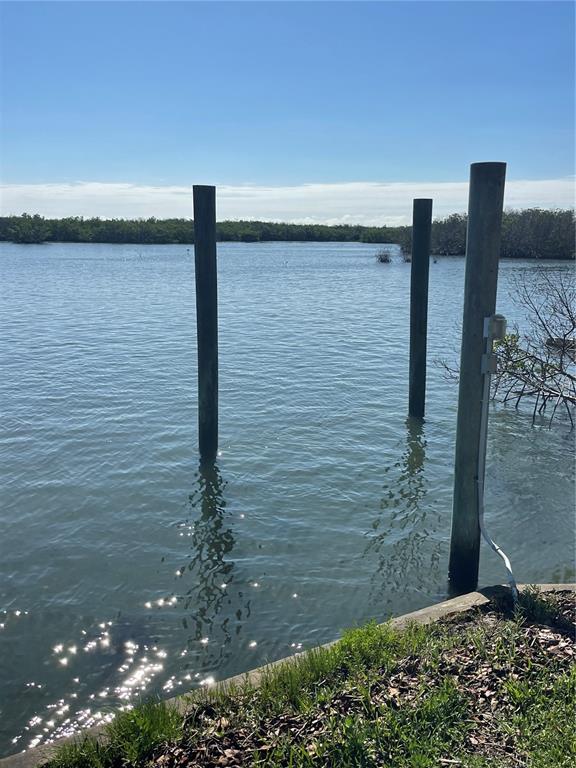 Three wooden pilings stand in the water near a grassy shoreline — 5242 RIVERSIDE DRIVE, PORT ORANGE, FL