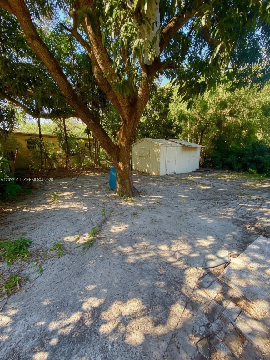 A large tree stands in a sandy backyard with a small shed and nearby structure — 1100 N 24th Ave, Hollywood FL 33020, HOLLYWOOD, FL