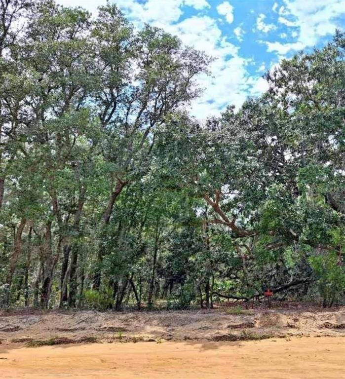 A wooded lot with mature trees sits behind a patch of cleared sandy ground — 118 LAKE LUCY CIRCLE, INTERLACHEN, FL