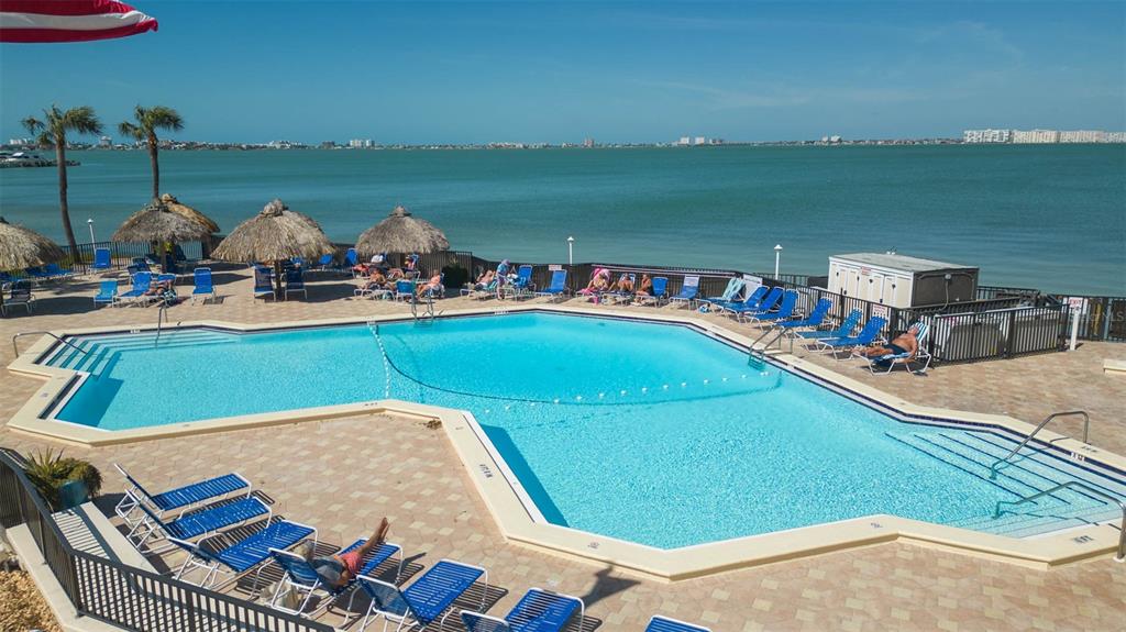 An outdoor swimming pool with lounge chairs and tiki umbrellas overlooks a large bay — 5729 PUERTA DEL SOL BOULEVARD S UNIT 381, ST PETERSBURG, FL