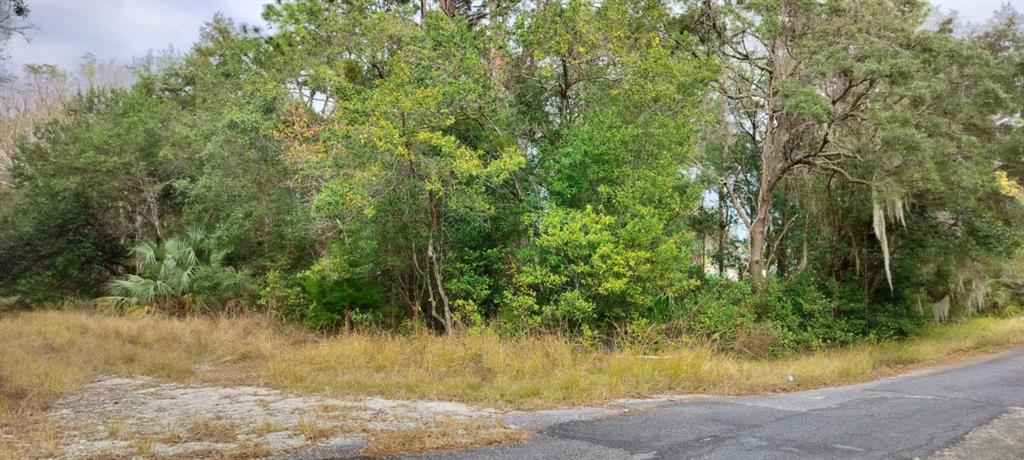 A vacant, wooded lot sits adjacent to a paved road with dry grass in the foreground — 965 S SALLY TERRACE, INVERNESS, FL