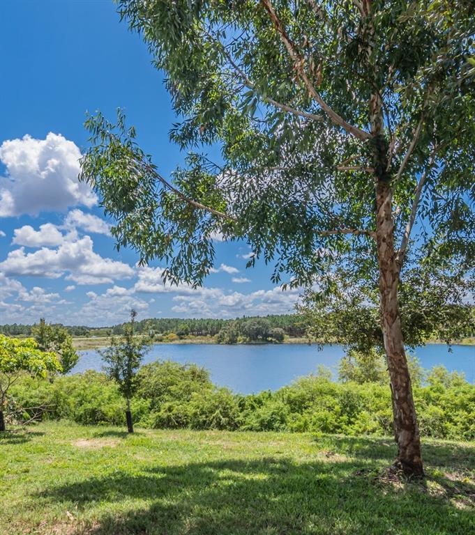 A large tree stands in the foreground overlooking a lake surrounded by trees and grass — 538 WINDSOR ESTATES DRIVE, DAVENPORT, FL