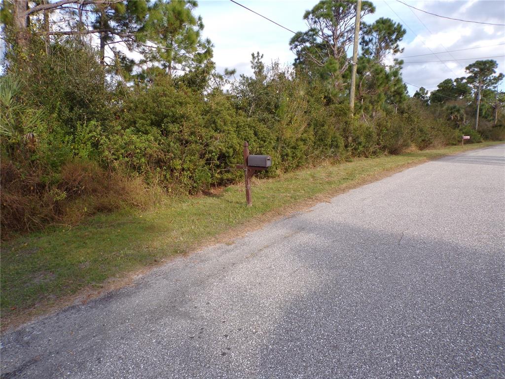 A roadside view of a mailbox situated in front of dense, overgrown vegetation — MEROLLA ROAD, NORTH PORT, FL