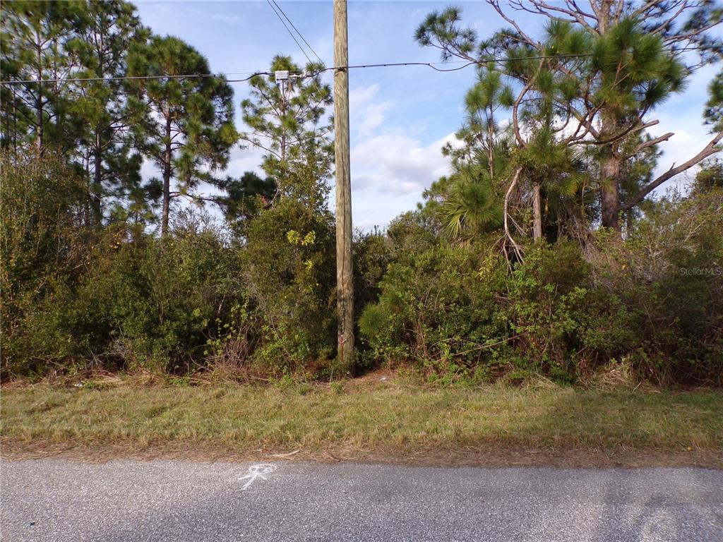 A utility pole stands in front of a dense thicket of trees and shrubs — MEROLLA ROAD, NORTH PORT, FL