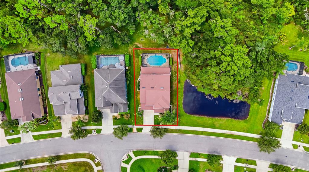 32126 GARDEN ALCOVE LOOP, WESLEY CHAPEL, FL — photo 2 of 30
