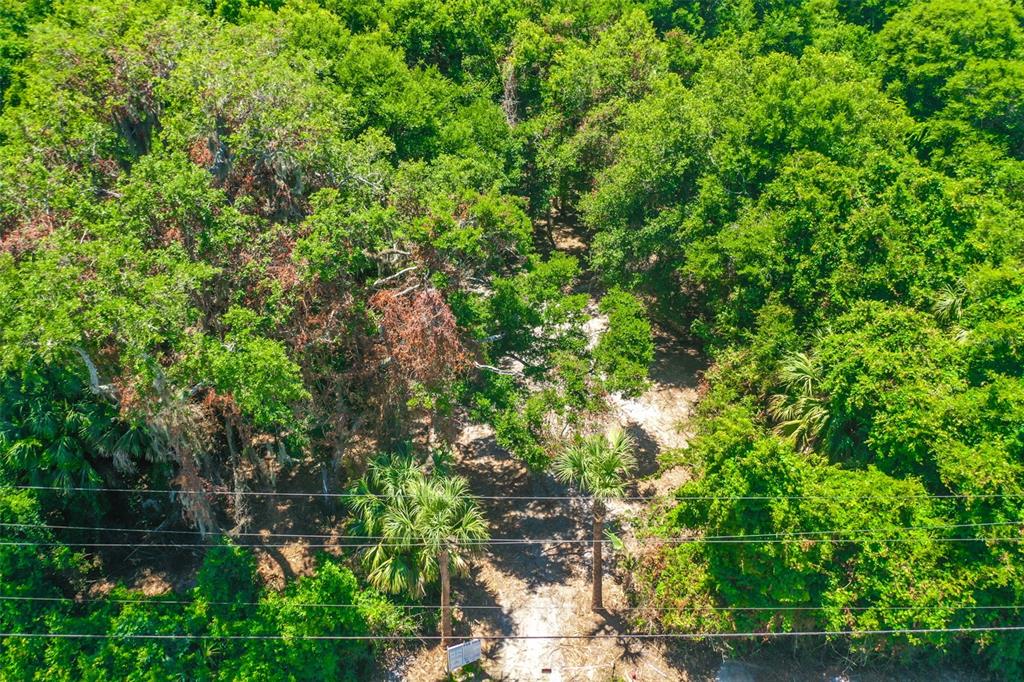 An aerial view shows a wooded lot with a dirt path and overhead power lines — 4400 N OCEAN SHORE BOULEVARD, PALM COAST, FL