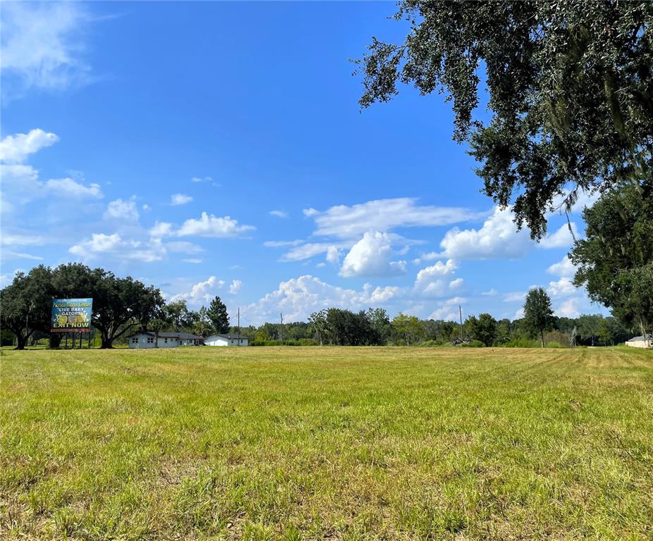 A large, grassy, undeveloped lot under a bright blue sky with scattered clouds — 4102 COUNTY ROAD 181, WILDWOOD, FL