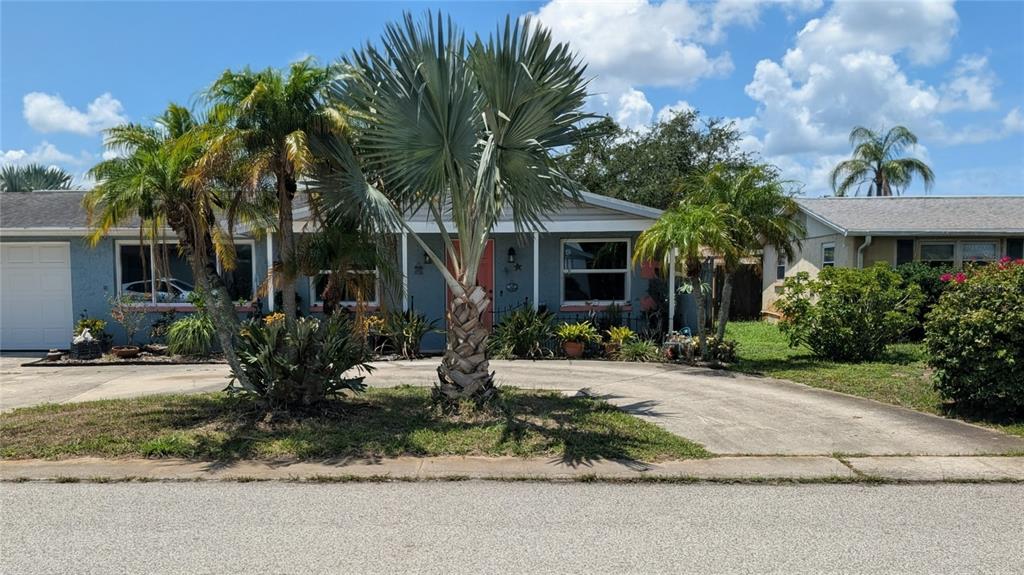 A single-story house with a gray exterior, a circular driveway, and several palm trees — 3452 CHAUNCY ROAD, HOLIDAY, FL