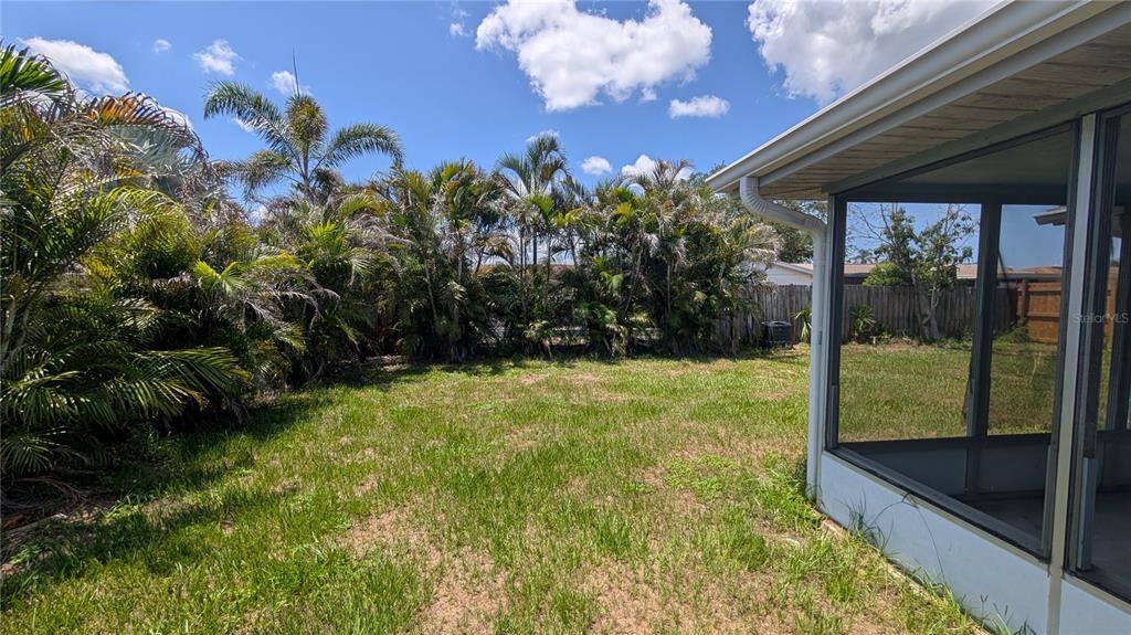 A grassy backyard features a row of palm trees and a screened-in patio enclosure — 3452 CHAUNCY ROAD, HOLIDAY, FL