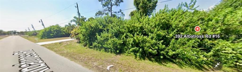 A street view shows a paved road alongside a dense green hedge and trees — 392 ALBATROSS ROAD, ROTONDA WEST, FL