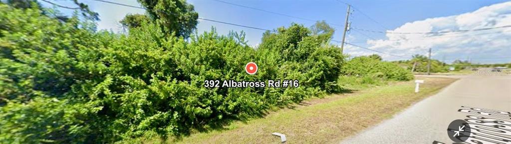 A dense thicket of green bushes and trees borders a paved road — 392 ALBATROSS ROAD, ROTONDA WEST, FL