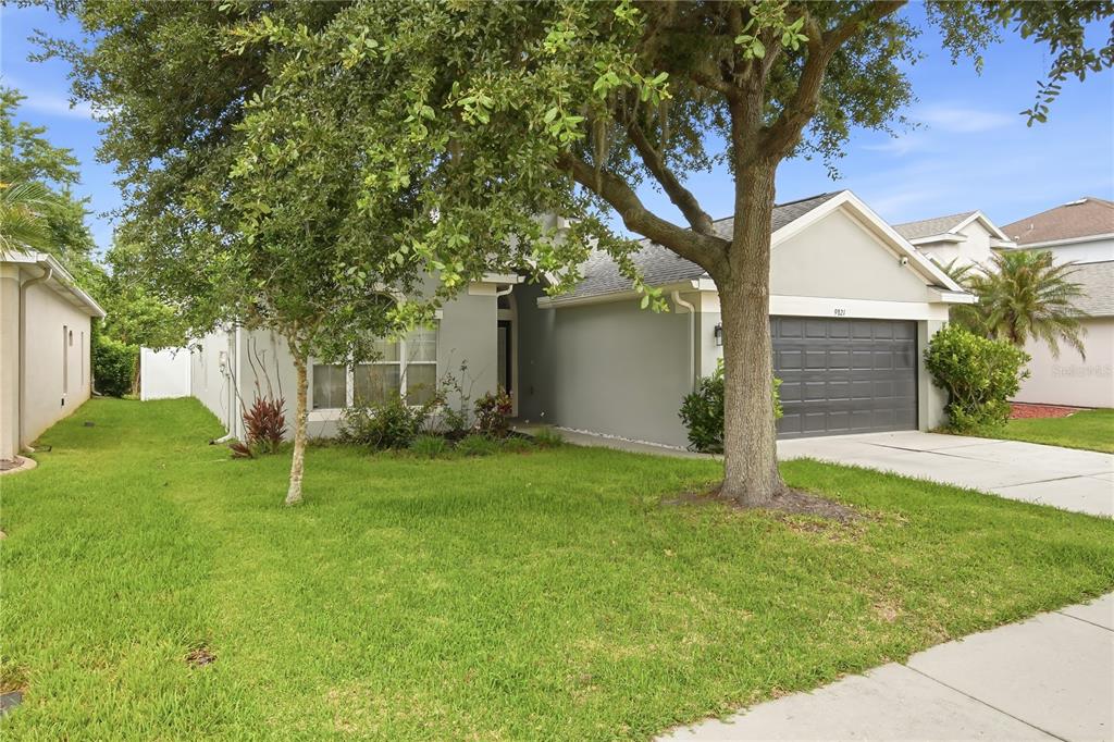 A single-story house with a gray exterior, a two-car garage, and a large front tree — 9821 JASMINE BROOK CIRCLE, LAND O LAKES, FL