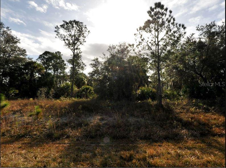 A vacant, wooded lot features tall pine trees and low-lying brush under a cloudy sky — MARSDEN AVENUE, NORTH PORT, FL