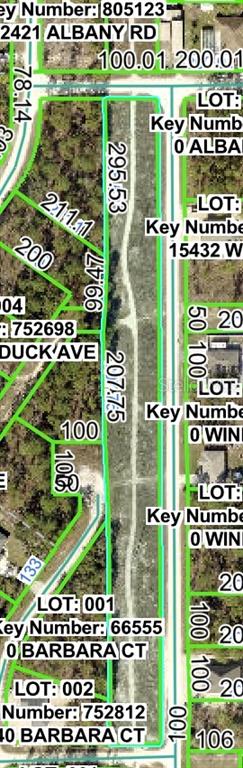 This is a satellite map showing a long, narrow vacant lot outlined in green — ALBANY ROAD, BROOKSVILLE, FL