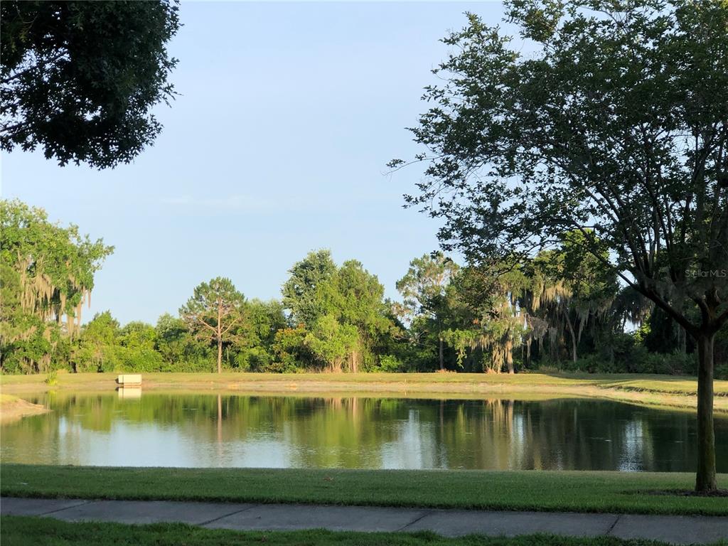 A small pond is surrounded by green grass and trees under a clear blue sky — 5567 SOMERSBY ROAD, WINDERMERE, FL