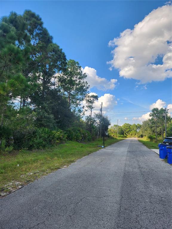 An asphalt road stretches past a grassy shoulder with trees and blue trash bins — 5101 SAN JUAN DRIVE, SEBRING, FL