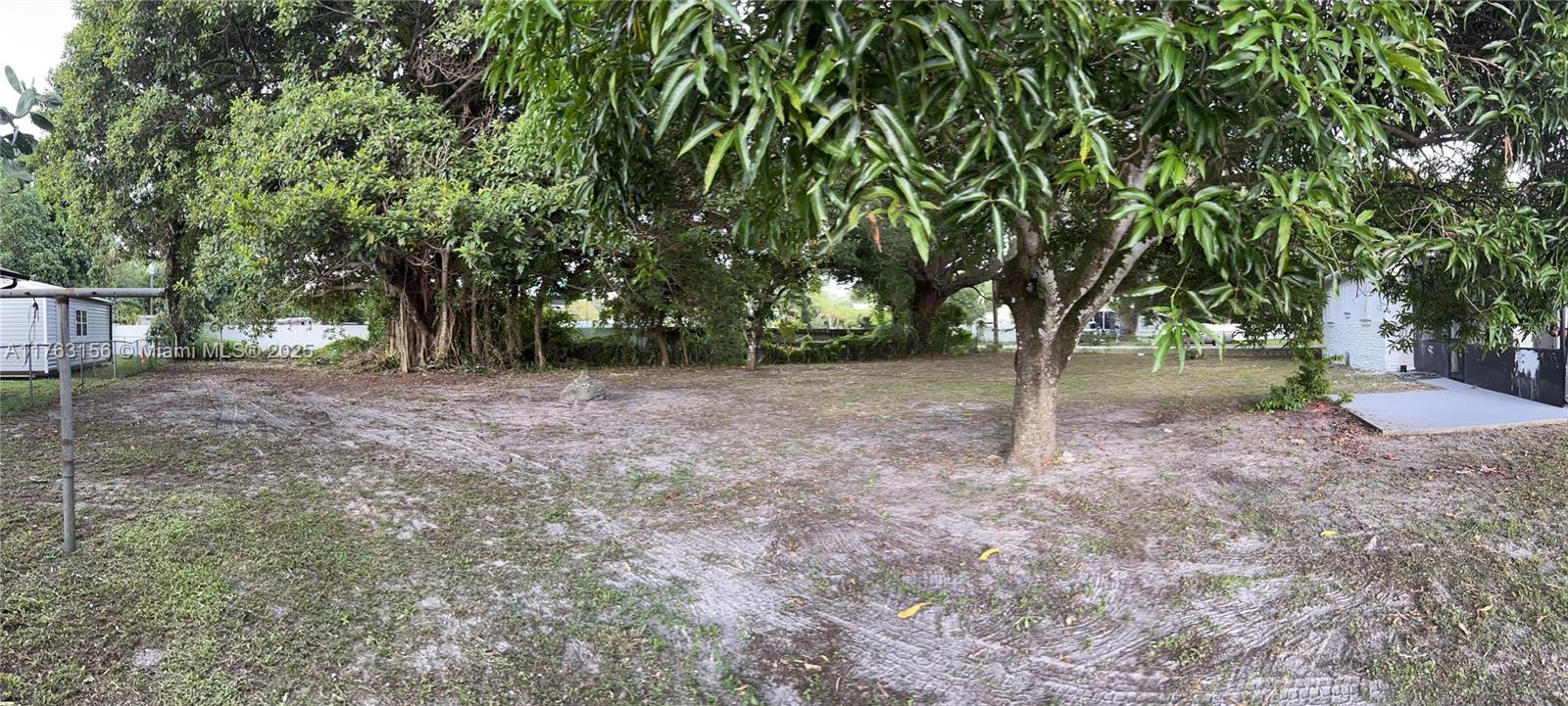 A wide, sandy backyard features several large trees and a small white structure — 205 Seaman Ave, Opa-Locka FL 33054, OPA-LOCKA, FL