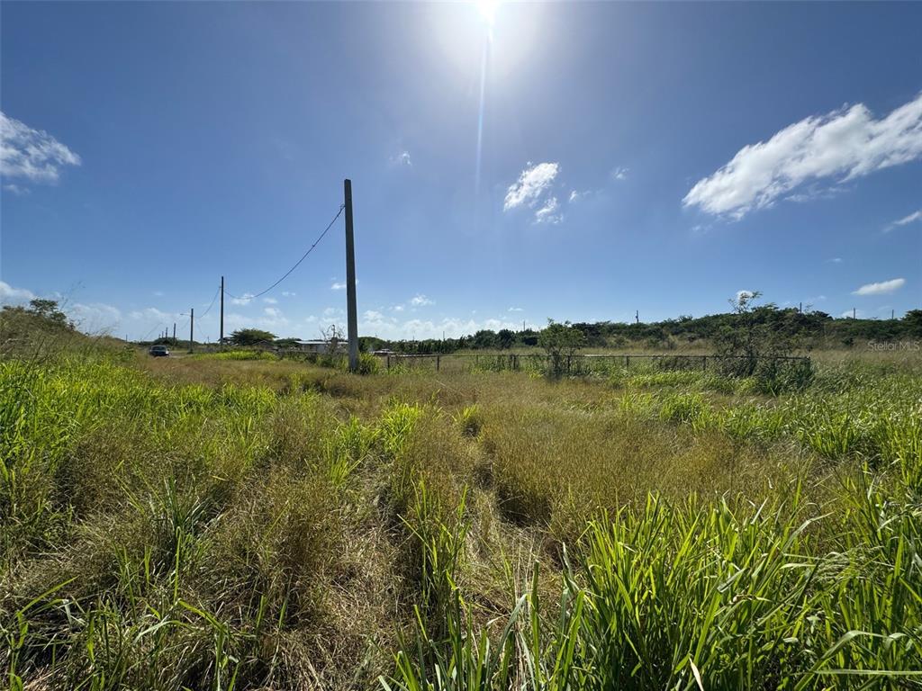 A grassy, open field under a bright sun with utility poles and a distant fence — Carr. 542 BO. JAUCA, SECTOR CAYURE PREDIO 119, SANTA ISABEL, PR