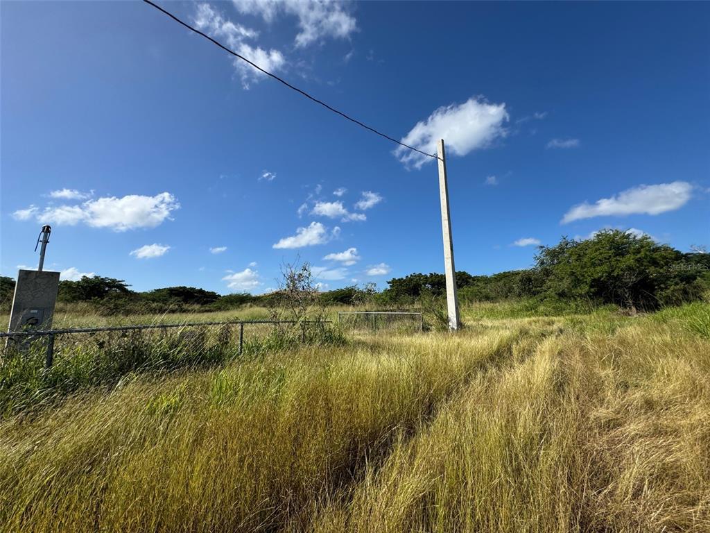 A grassy field with a utility pole and a chain-link fence under a blue sky — Carr. 542 BO. JAUCA, SECTOR CAYURE PREDIO 119, SANTA ISABEL, PR