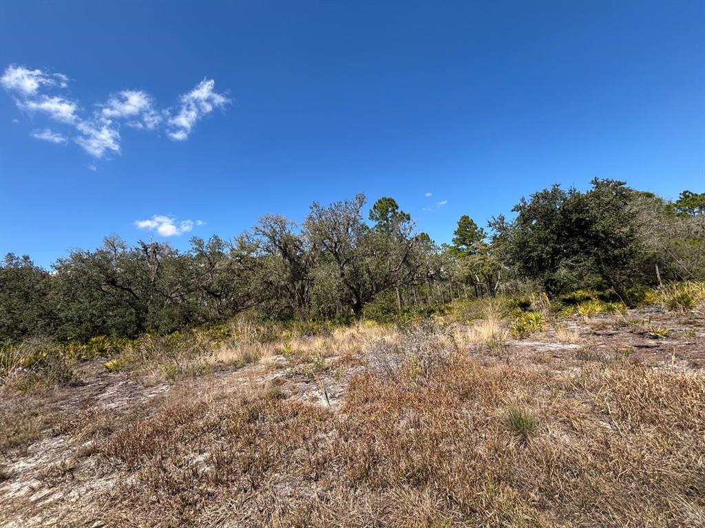 A grassy, sandy lot features scattered trees and shrubs under a clear blue sky — 1006 PALM AVENUE, INDIAN LAKE ESTATES, FL