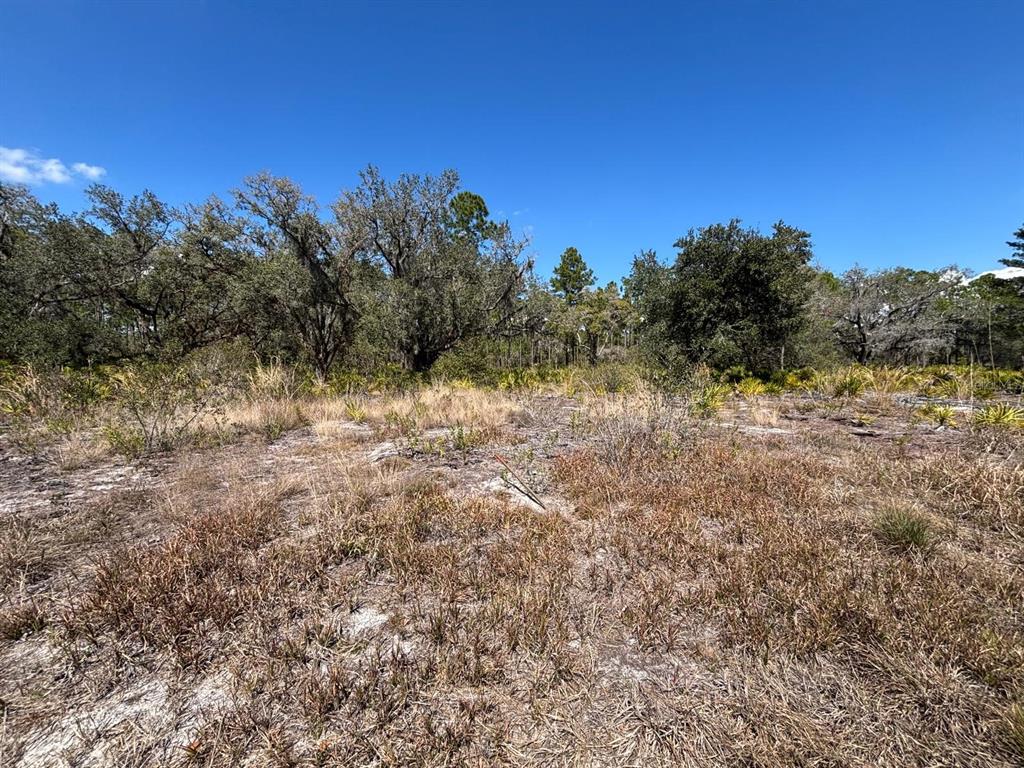 A vacant, grassy lot with scattered shrubs and trees under a clear blue sky — 1006 PALM AVENUE, INDIAN LAKE ESTATES, FL