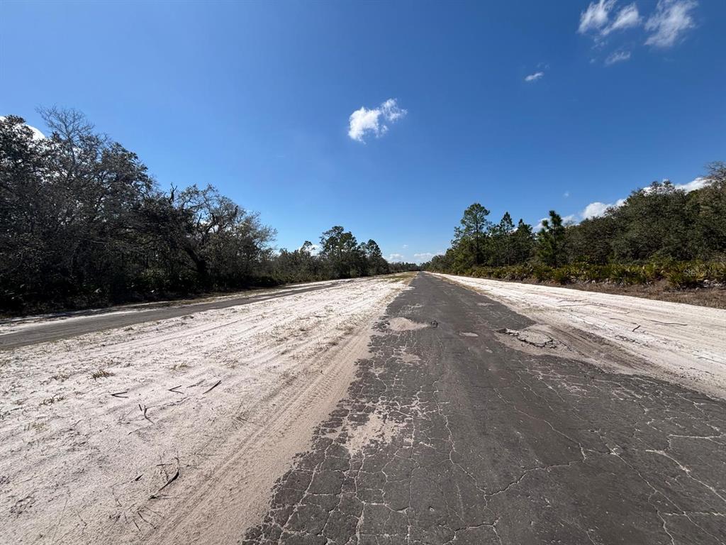 A narrow, cracked asphalt road stretches through a sandy, wooded landscape under a clear sky — 1006 PALM AVENUE, INDIAN LAKE ESTATES, FL