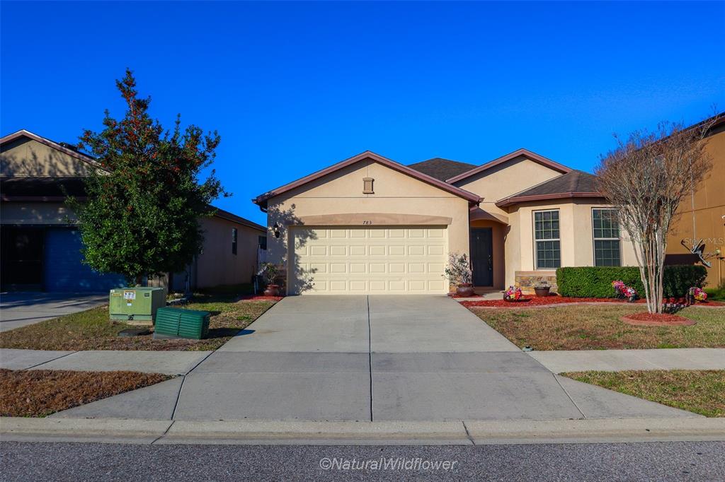 783 PETAL MIST LANE