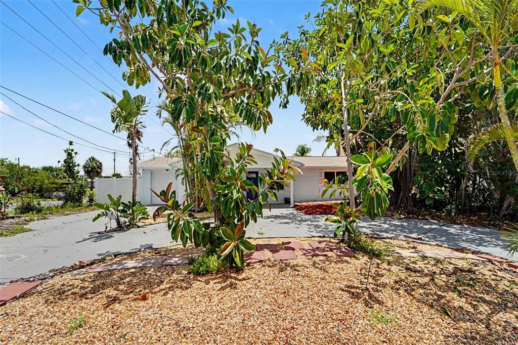 A single-story house with a paved driveway and large trees in the front yard — 13714 ALLYN DRIVE, HUDSON, FL