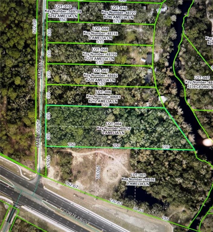 AMELIA LANE, DADE CITY, FL — photo 2 of 6