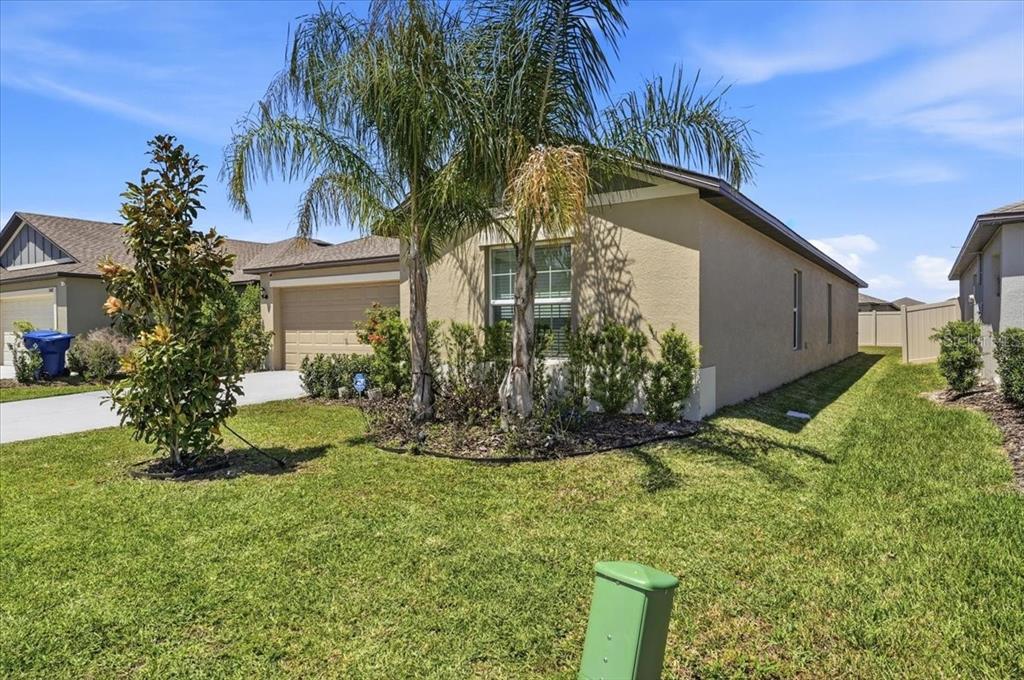 A single-story house with a tan stucco exterior, a two-car garage, and two palm trees — 35029 BRACKETT BEND, ZEPHYRHILLS, FL