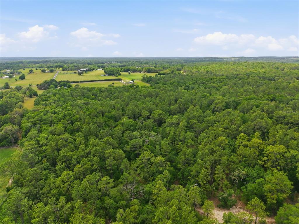 An aerial view shows a dense forest bordering a large, open grassy field — CORTEZ BOULEVARD, BROOKSVILLE, FL