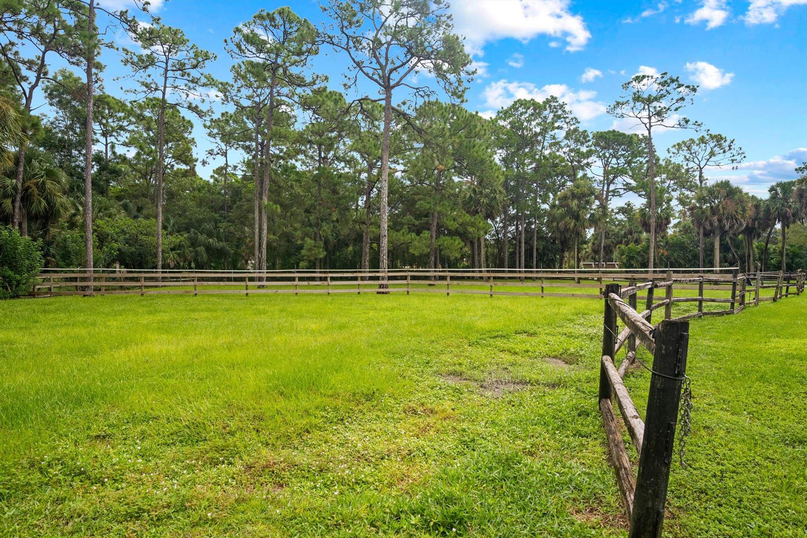 A grassy pasture is enclosed by a wooden fence with a line of trees behind — 2915 Doe Trail, FL 33470, FL