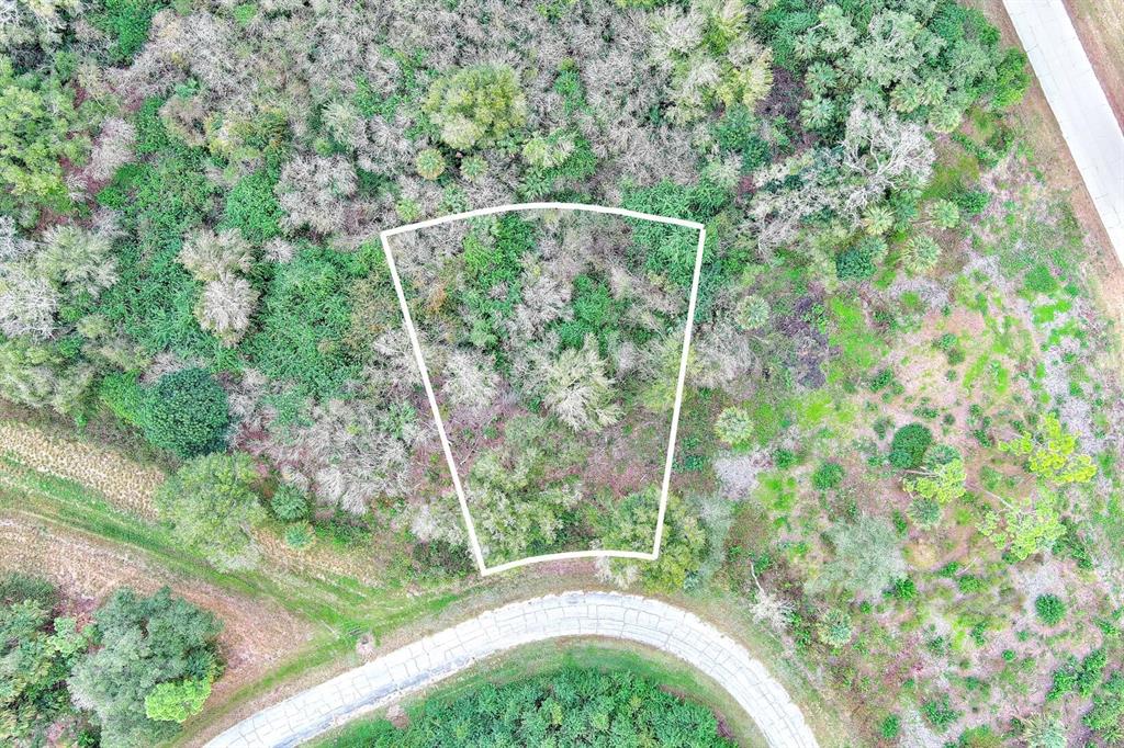 An aerial view shows a trapezoidal vacant lot outlined in white amidst a wooded area — 173 CAROUSEL AVENUE, LABELLE, FL