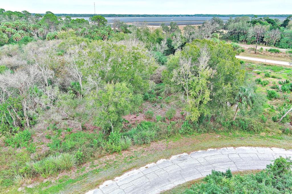 An aerial view shows a wooded, undeveloped lot next to a paved residential street — 173 CAROUSEL AVENUE, LABELLE, FL