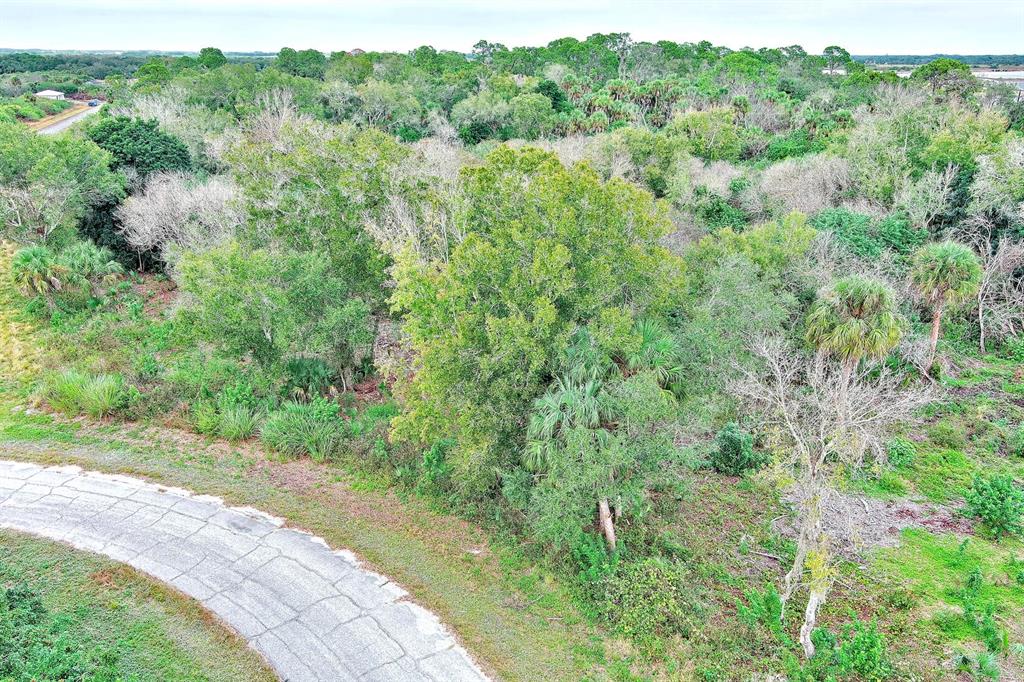 An aerial view shows a curved paved road bordering a wooded, undeveloped residential lot — 173 CAROUSEL AVENUE, LABELLE, FL